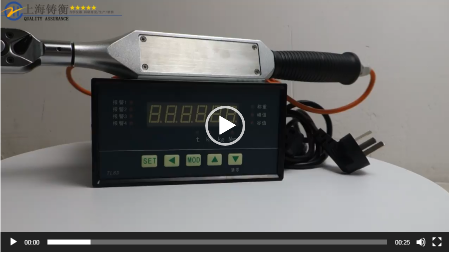 鑄衡稱重?cái)?shù)顯扭力扳手